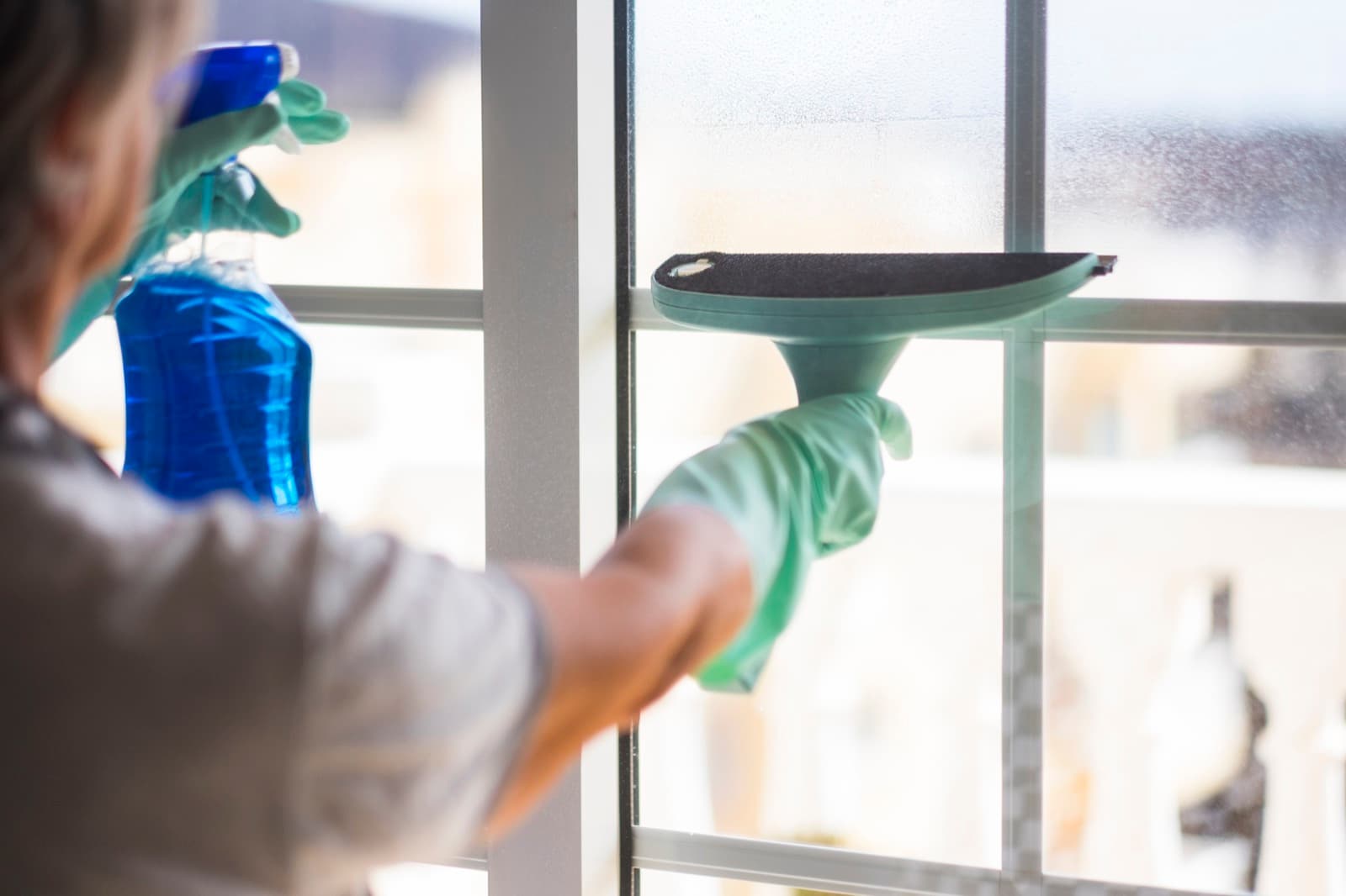 Standard Cleaning in Jacksonville, FL